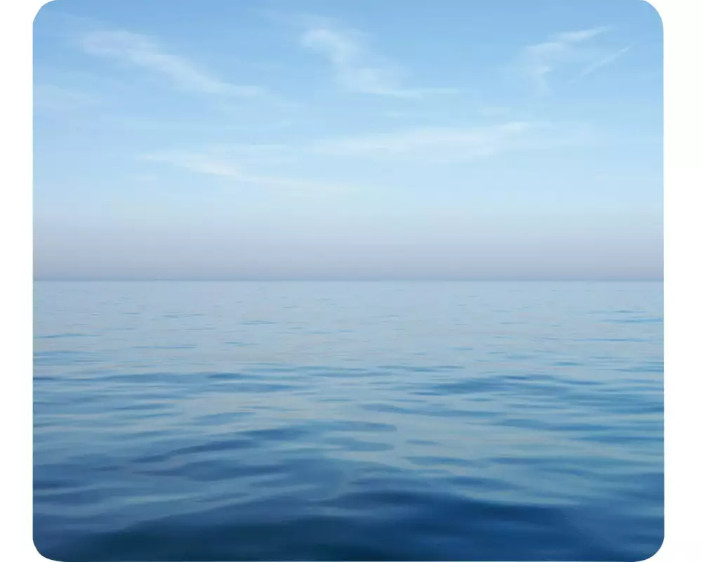 Fellowes Workplace Bedruckte Mausmatte Ozean