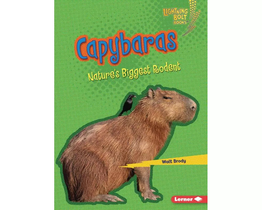 Capybaras