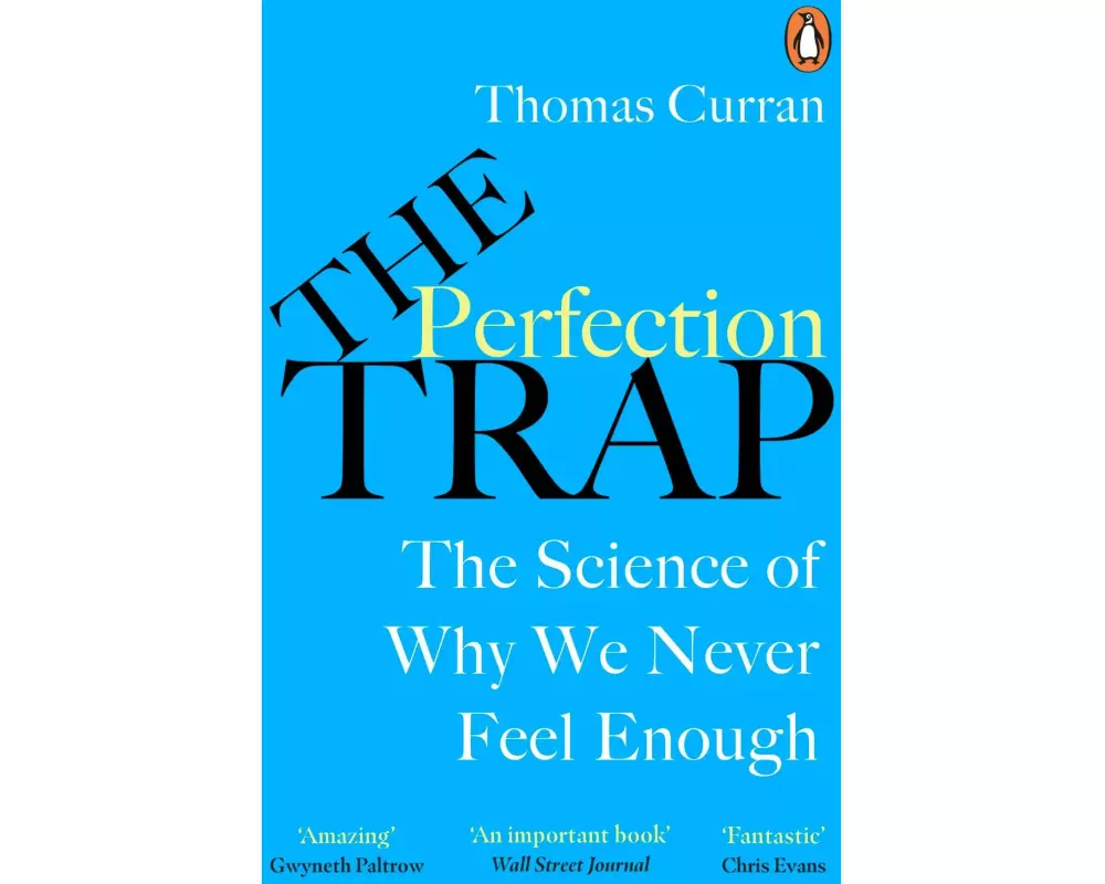 The Perfection Trap