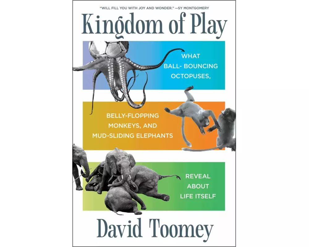 Kingdom of Play