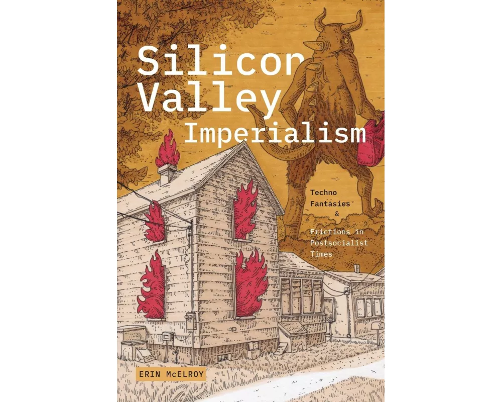 Silicon Valley Imperialism