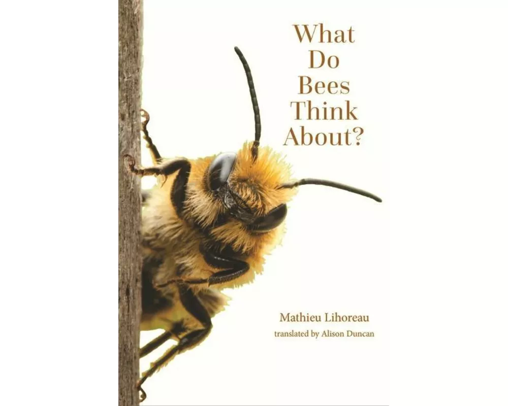 What Do Bees Think About?