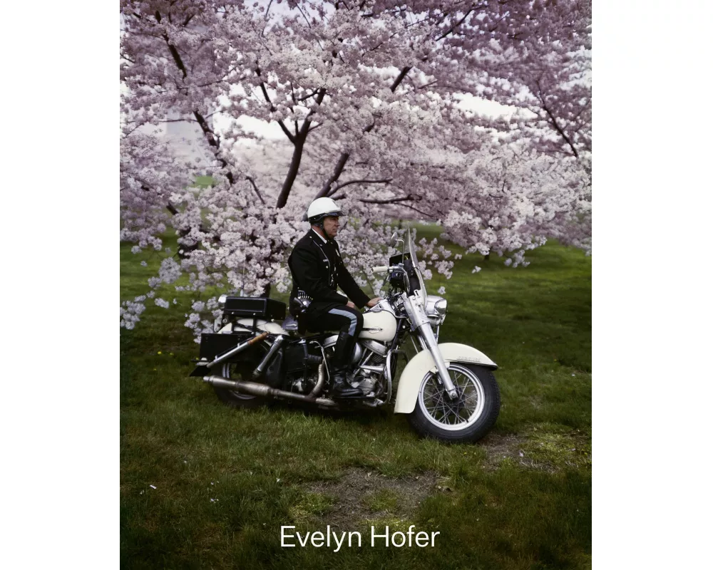 Begegnungen / Encounters