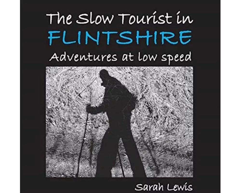 The Slow Tourist in Flintshir