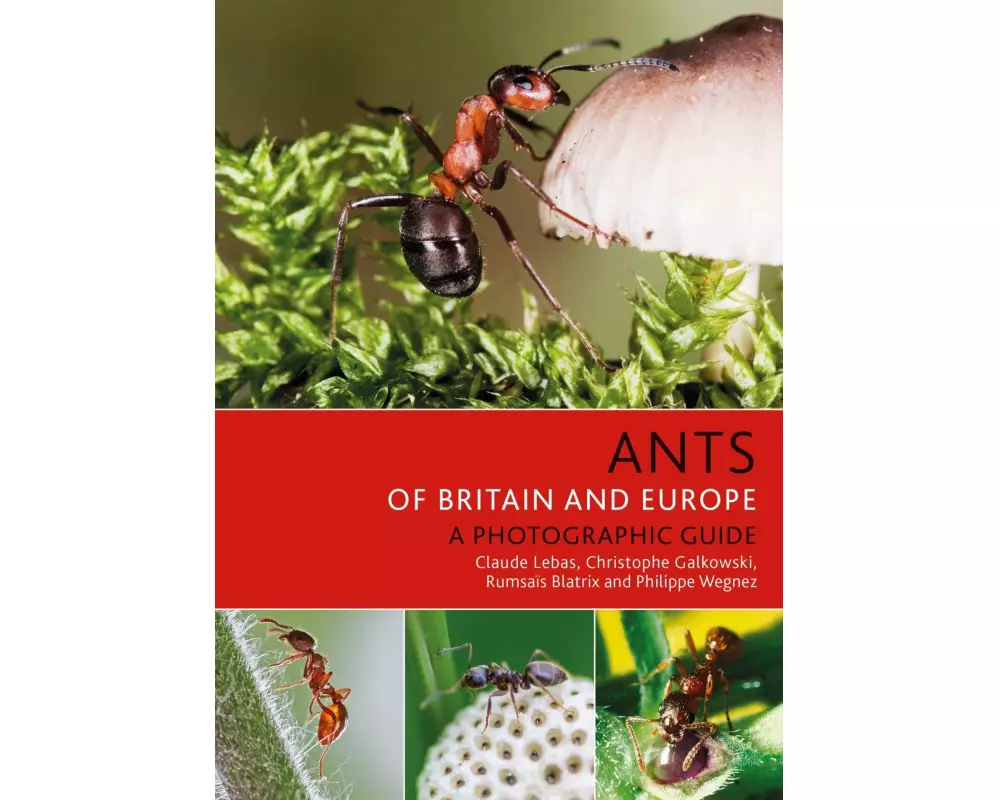 Ants of Britain and Europe