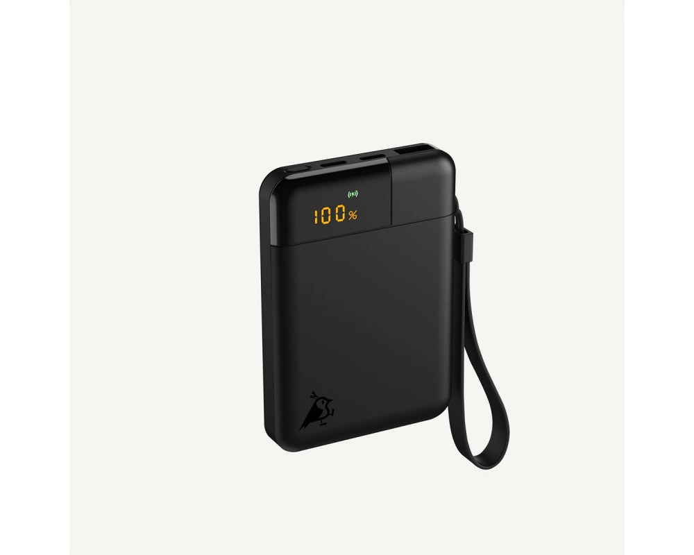 Aqiila Powerbank Powerbird B5, 12W, Schwarz, 5.000 mAh