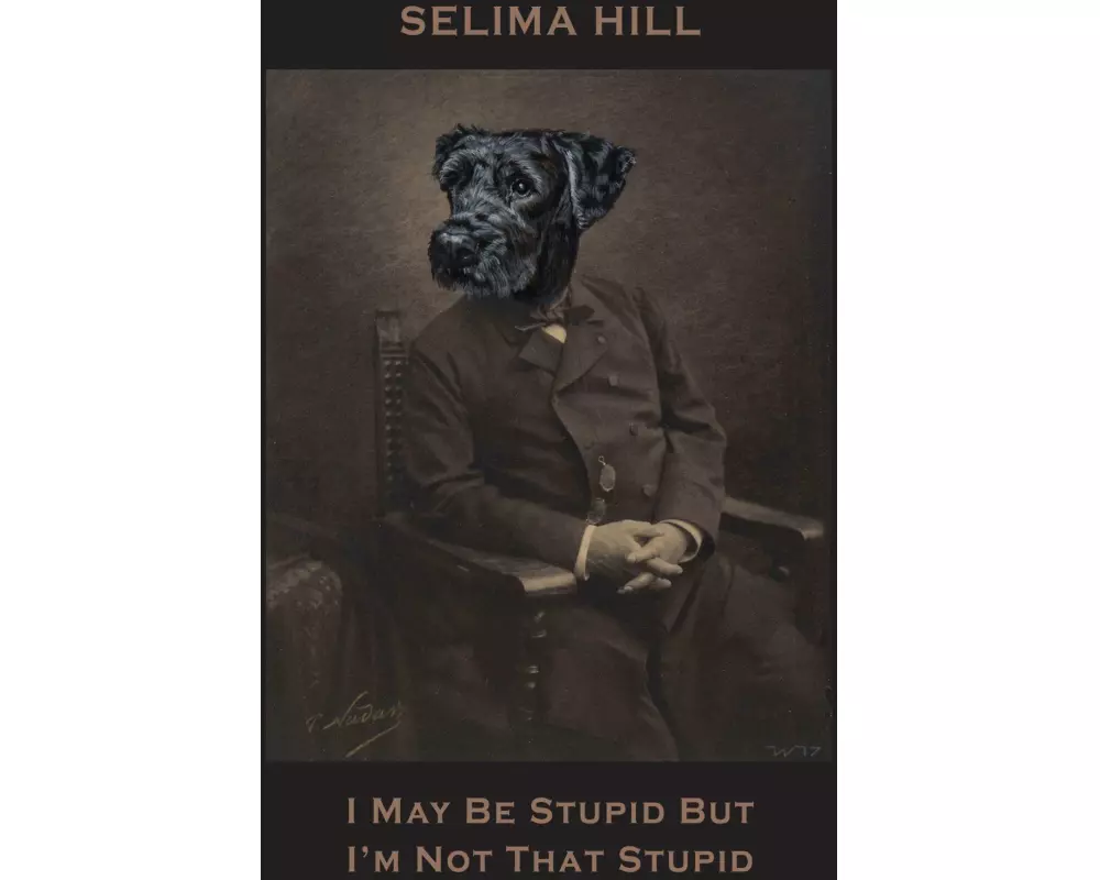 I May Be Stupid But I'm Not That Stupid