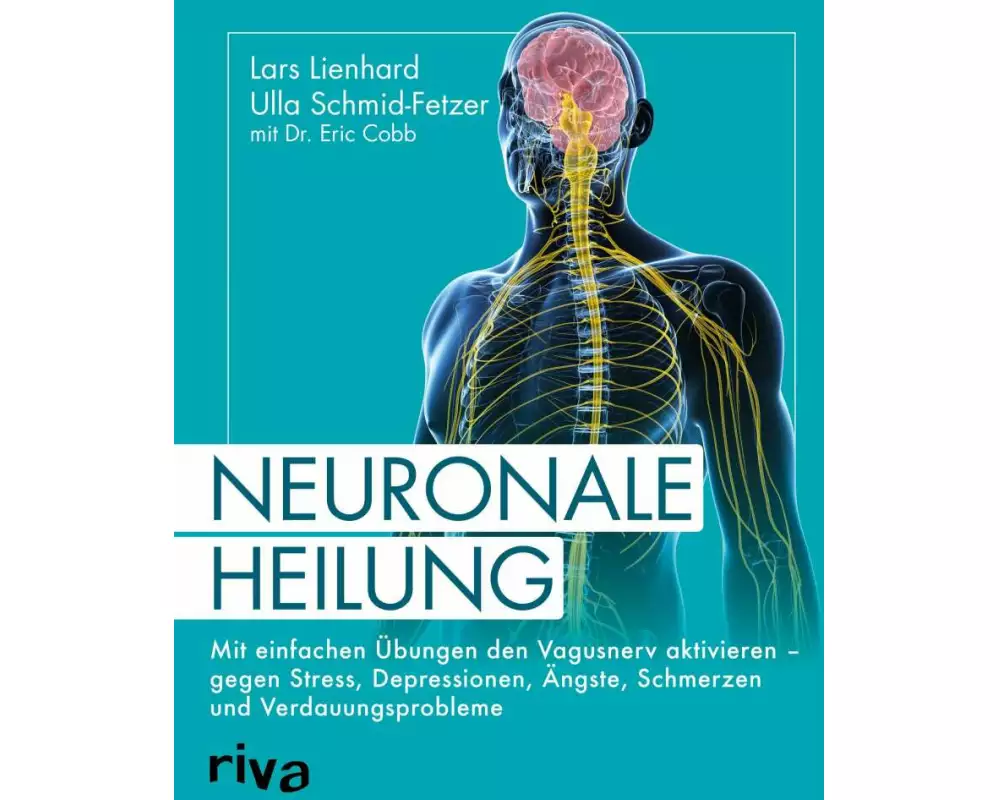 Neuronale Heilung