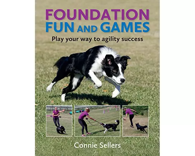 Foundation Fun And Games