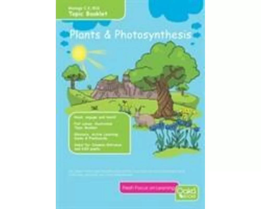 Plants Photosynthesis