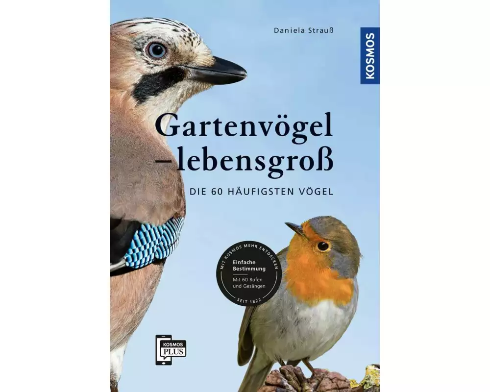 Gartenvögel lebensgroß