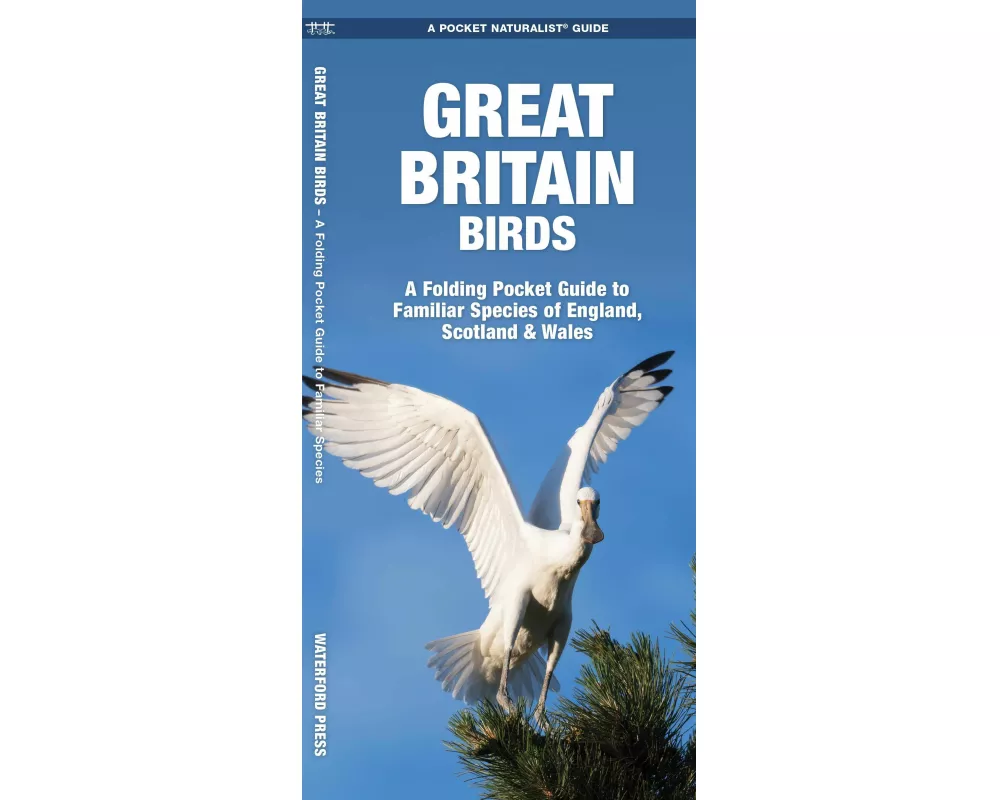 Great Britain Birds, 2nd Ed