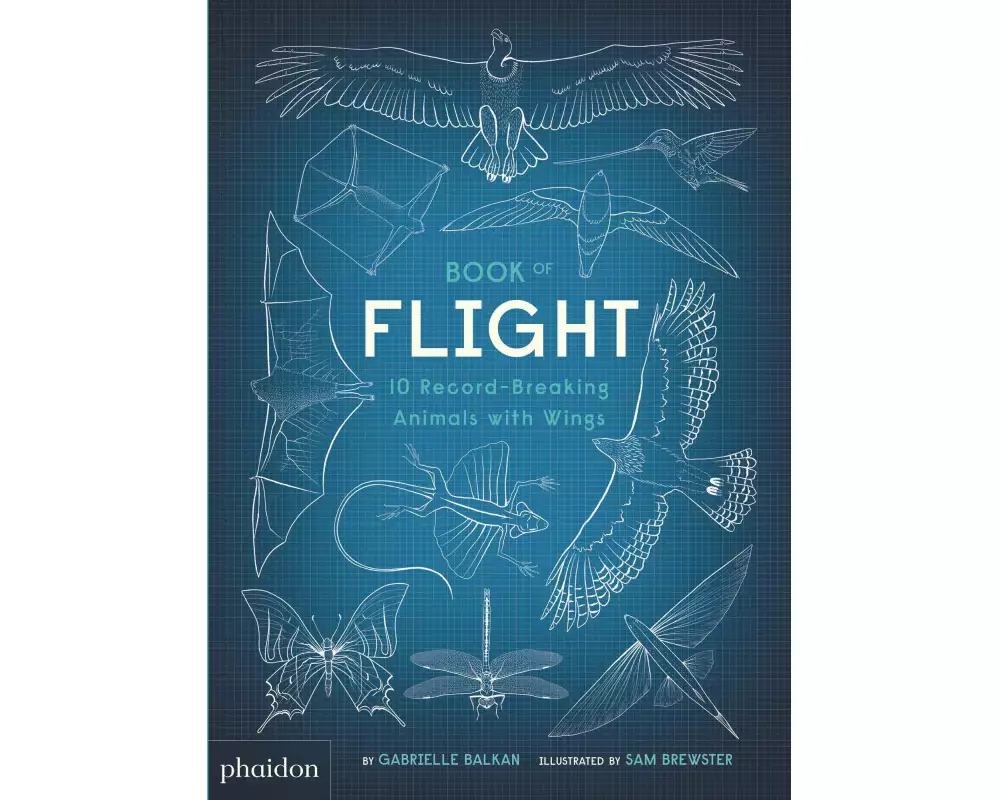 Book of Flight