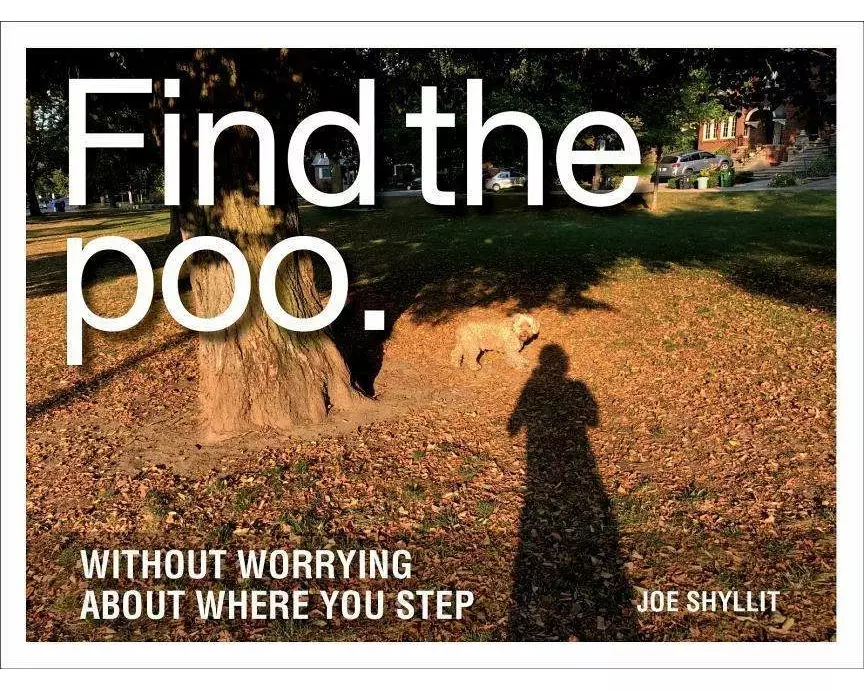 Find the Poo
