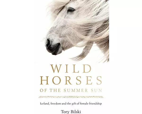 Wild Horses of the Summer Sun