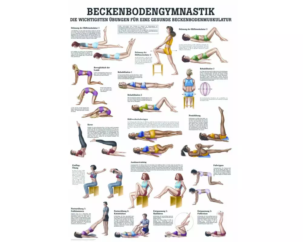 Rüdiger Anatomische Lehrtafel Beckenbodengymnastik 70 x 100 cm