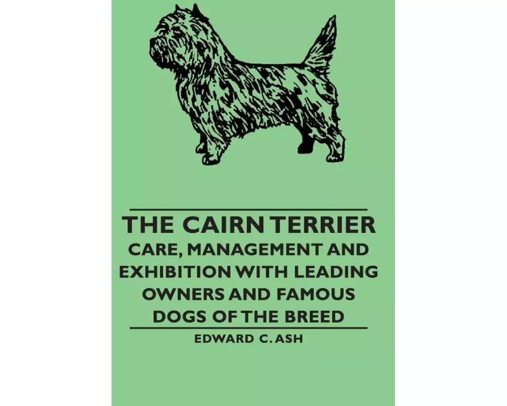 The Cairn Terrier
