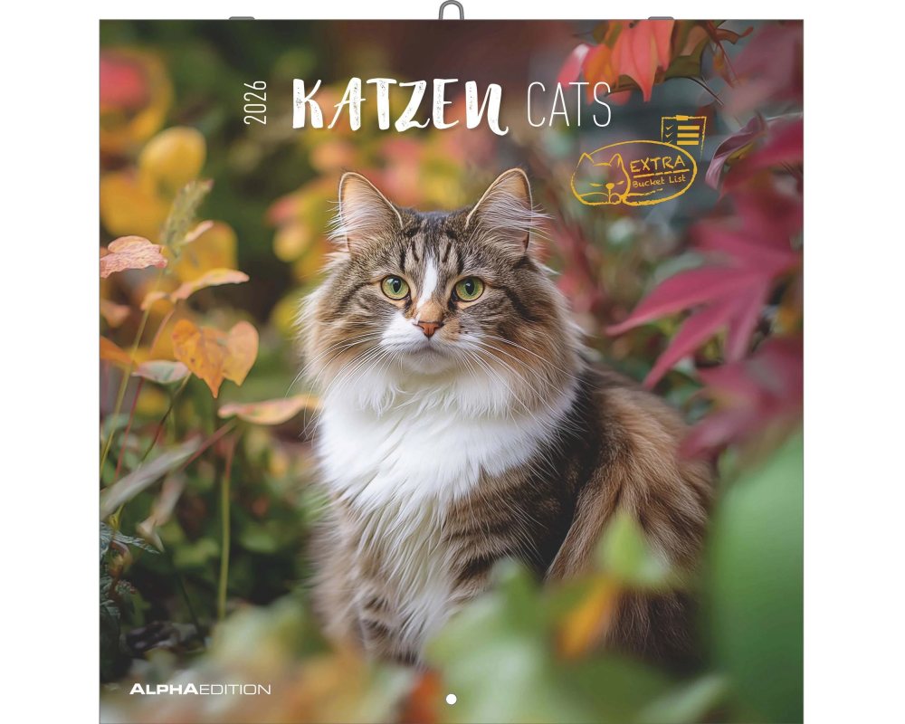 ALPHA EDITION Bildkalender 2026 160298 Katzen ML 30x30cm