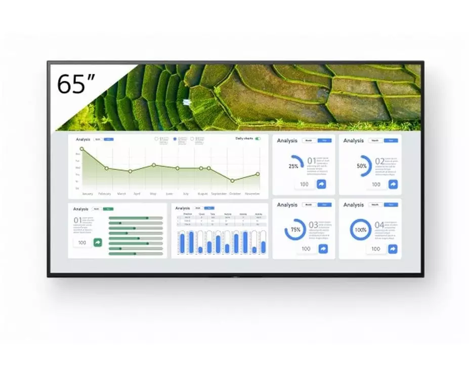 Sony Public Display FW-65BZ30L 65 "