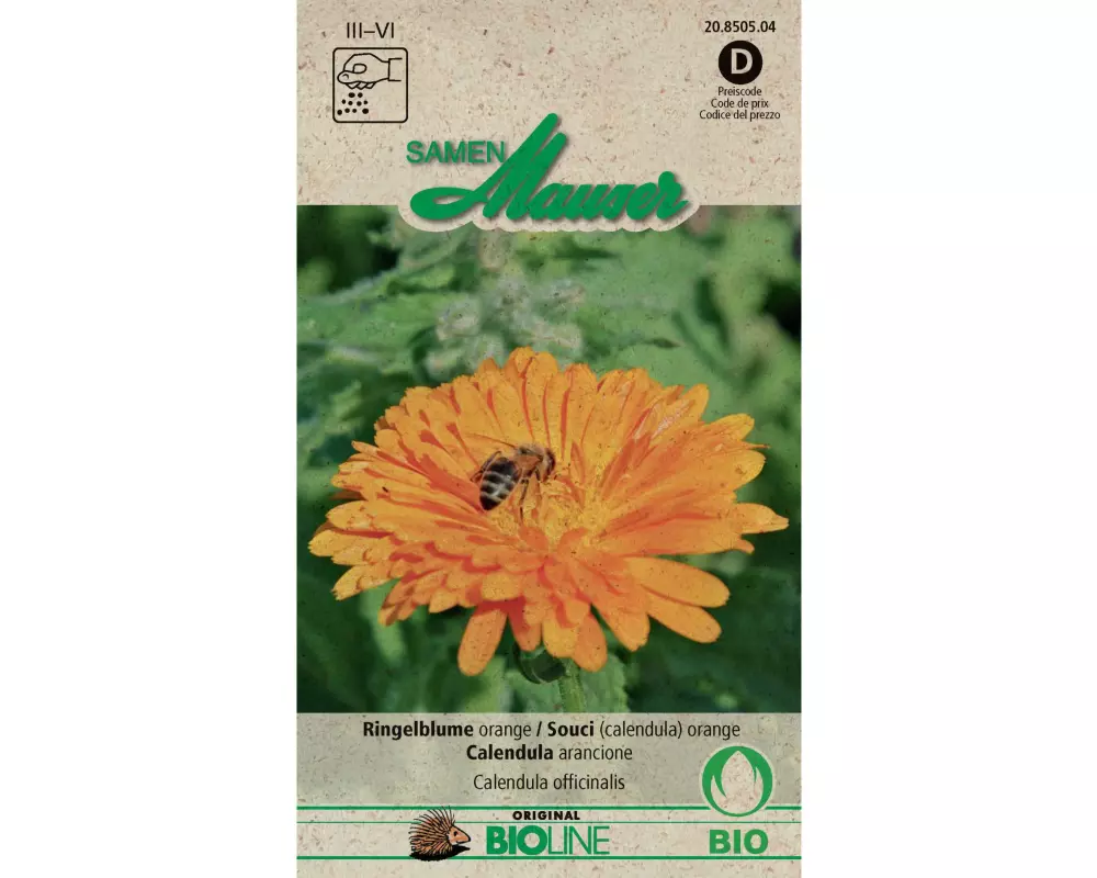 Samen Mauser Saatgut Ringelblume Orange