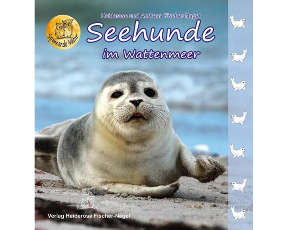 Seehunde im Wattenmeer
