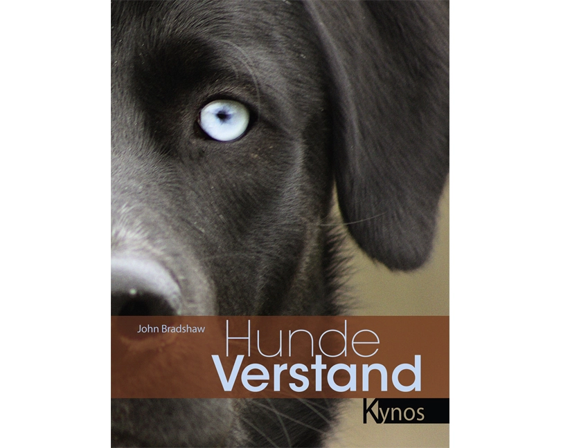 Hundeverstand