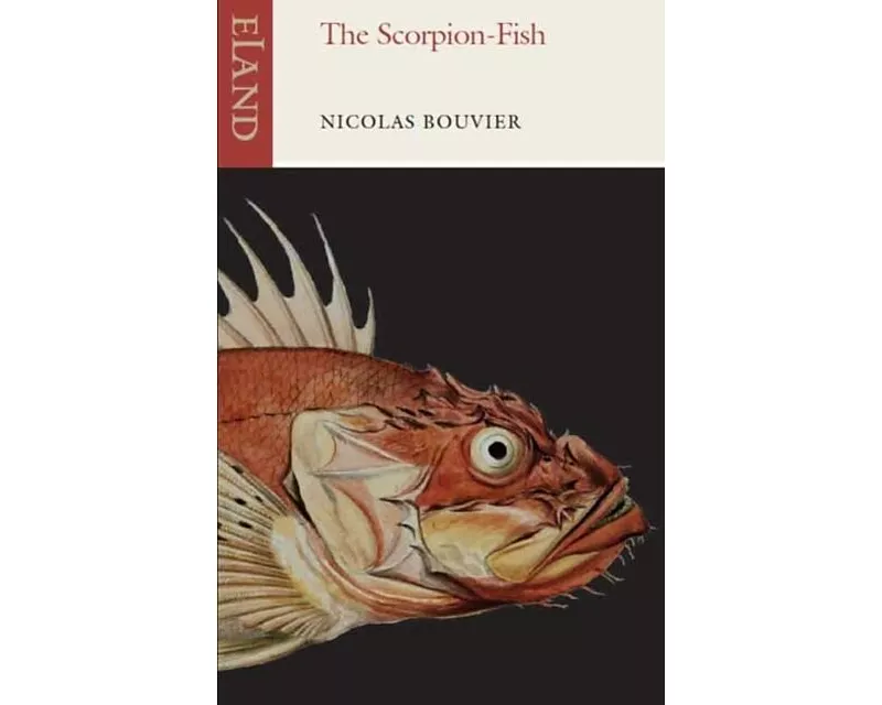 The Scorpion-Fish