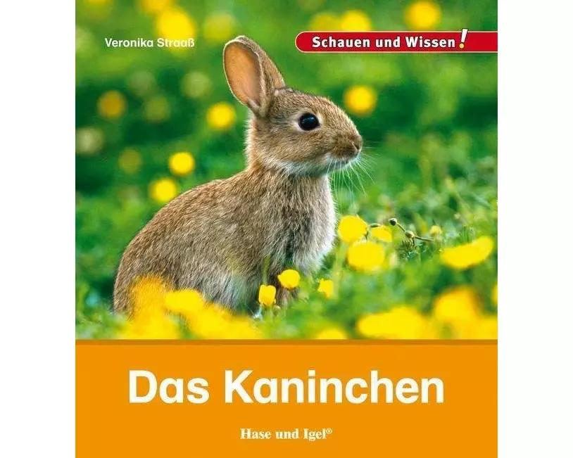 Das Kaninchen
