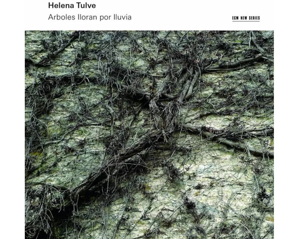 Arboles Iloran Por Iluvia