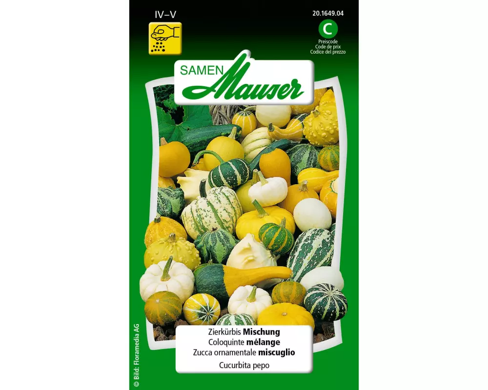Samen Mauser Saatgut Zierkürbis Mischung