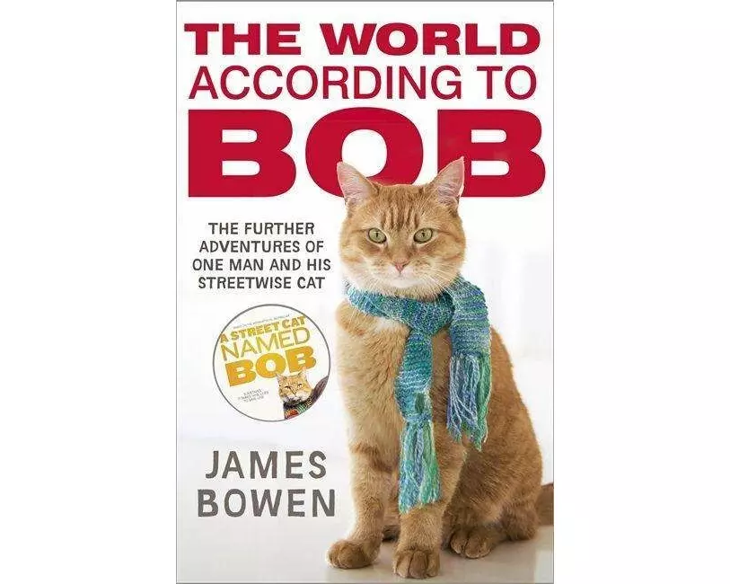 The World According to Bob