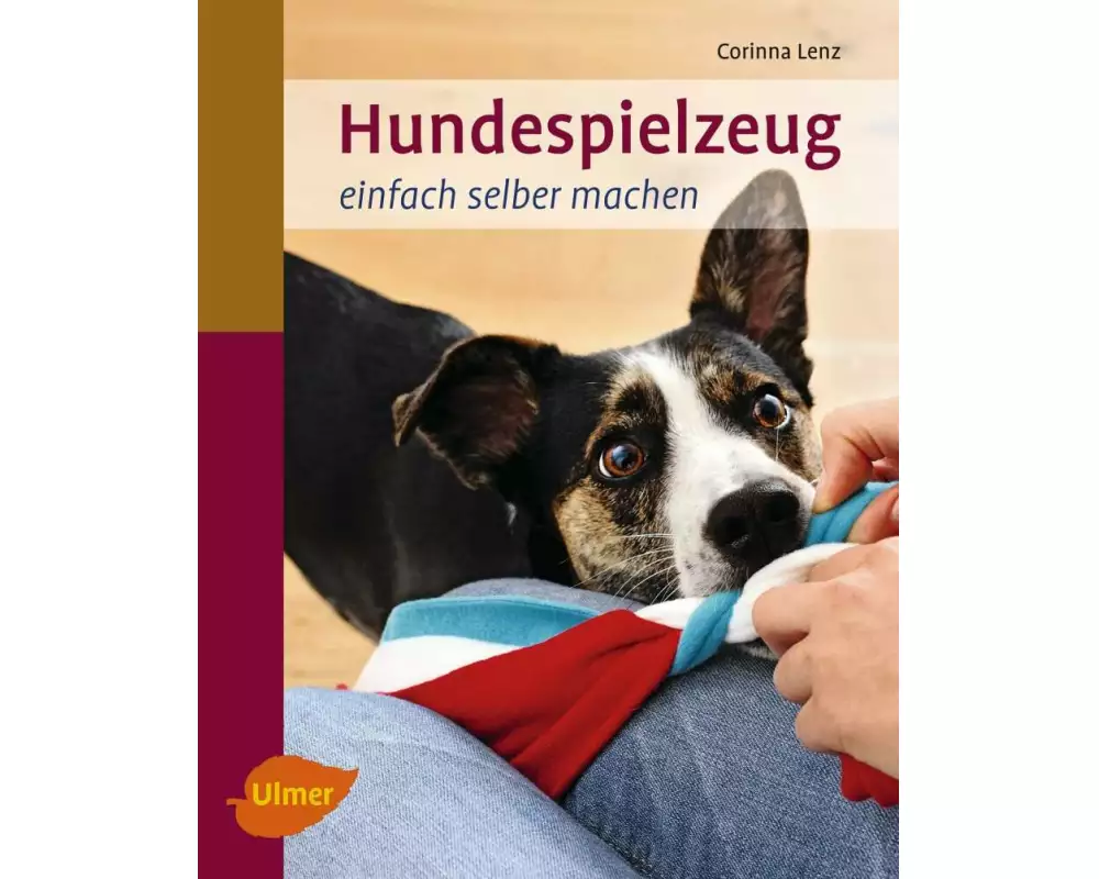 Hundespielzeug einfach selber machen