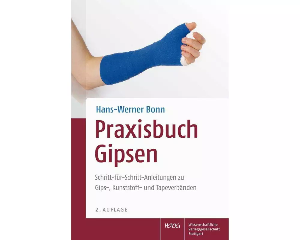 Praxisbuch Gipsen