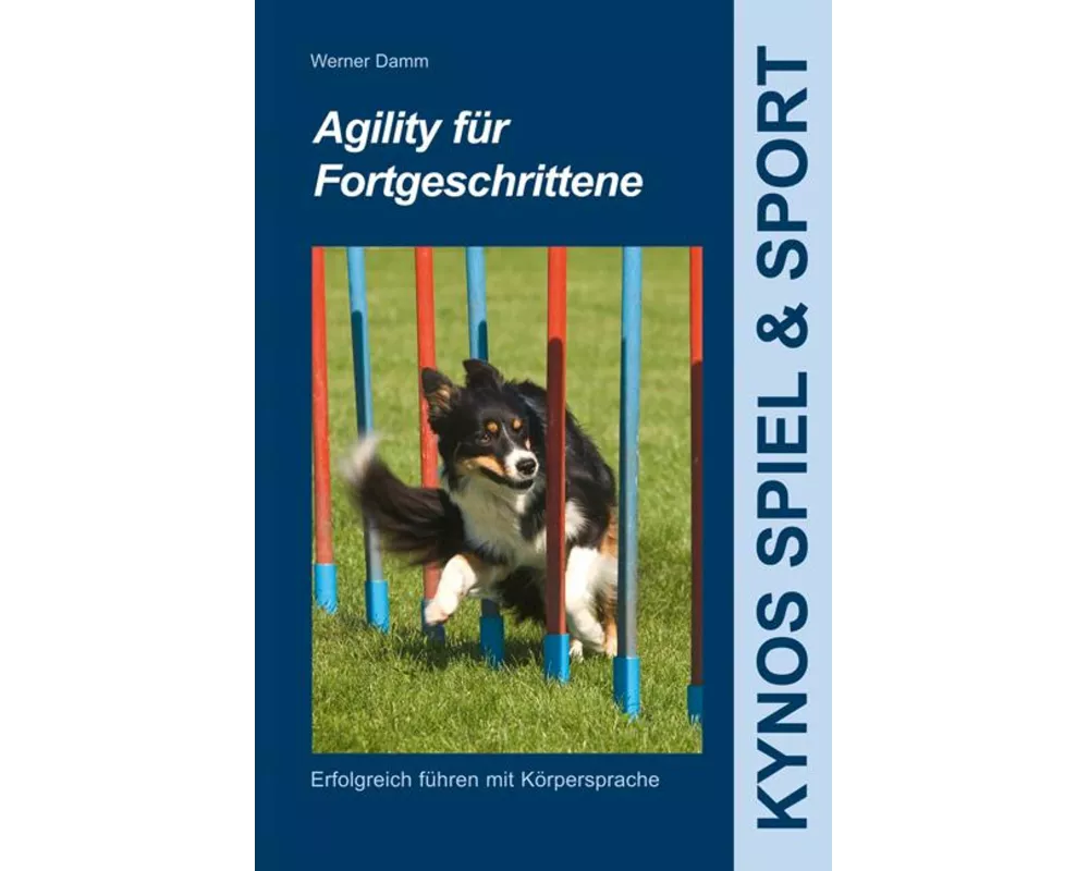 Agility für Fortgeschrittene