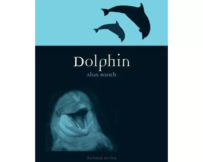 Dolphin