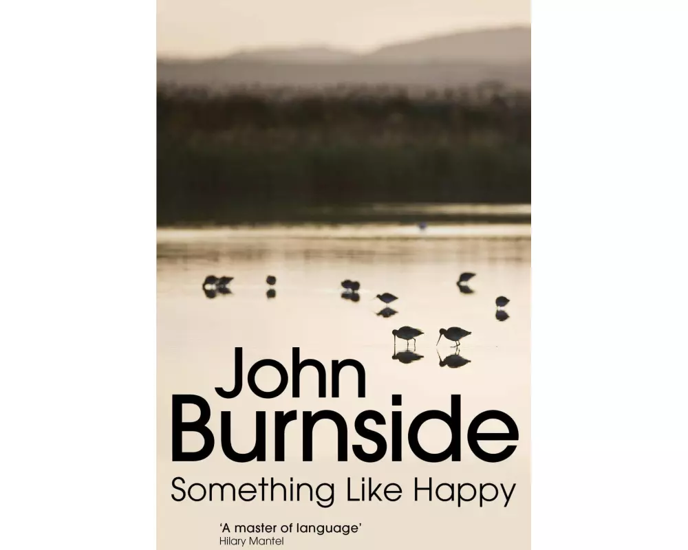 Something Like Happy