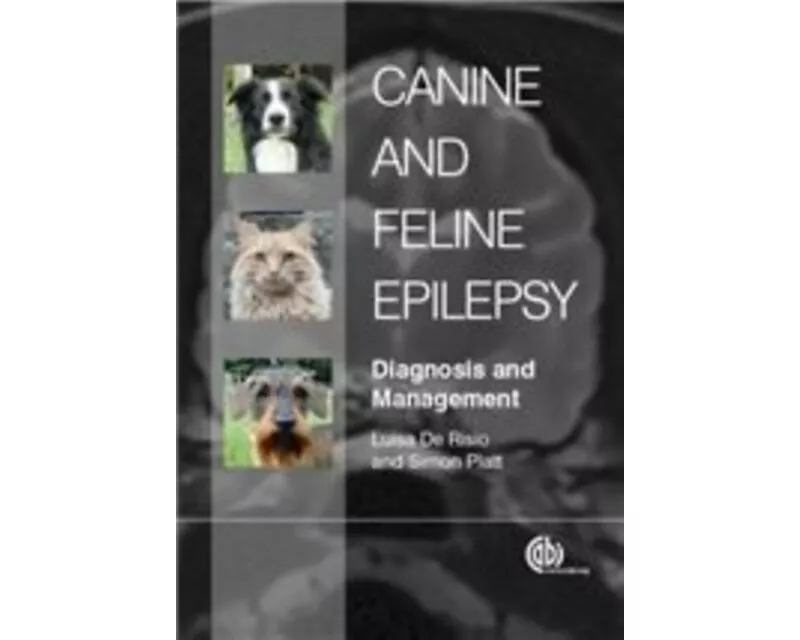 Canine and Feline Epilepsy