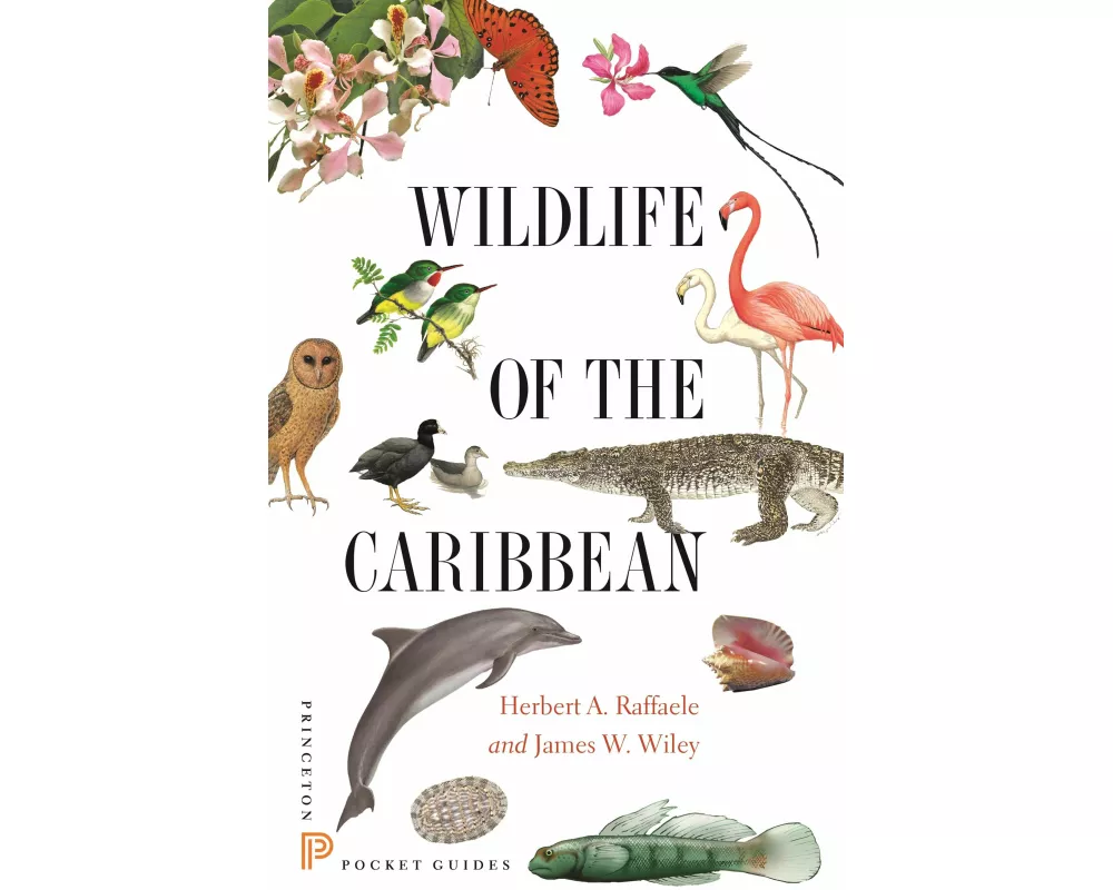 Wildlife of the Caribbean