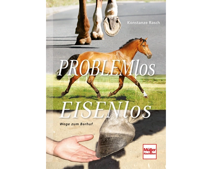 Problemlos Eisenlos