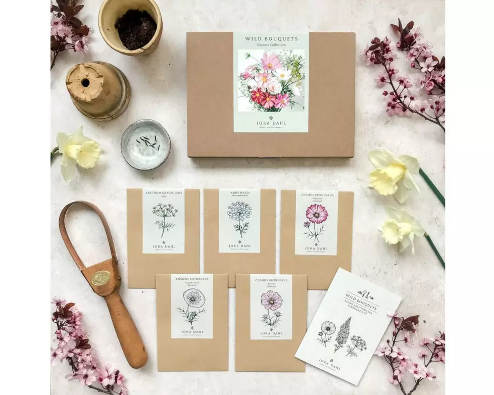 Gorilla Gardening Blumenstrauss zum selber Pflanzen Kosmeen-Mischung