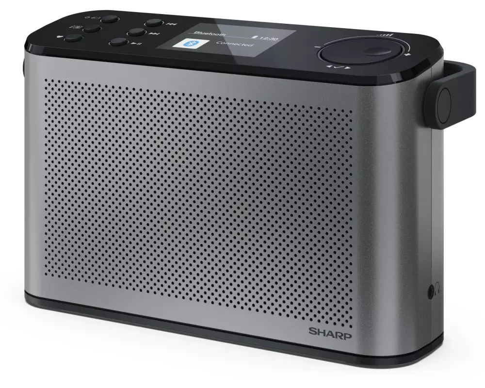 Sharp DAB+ Radio DR-P540 Grau
