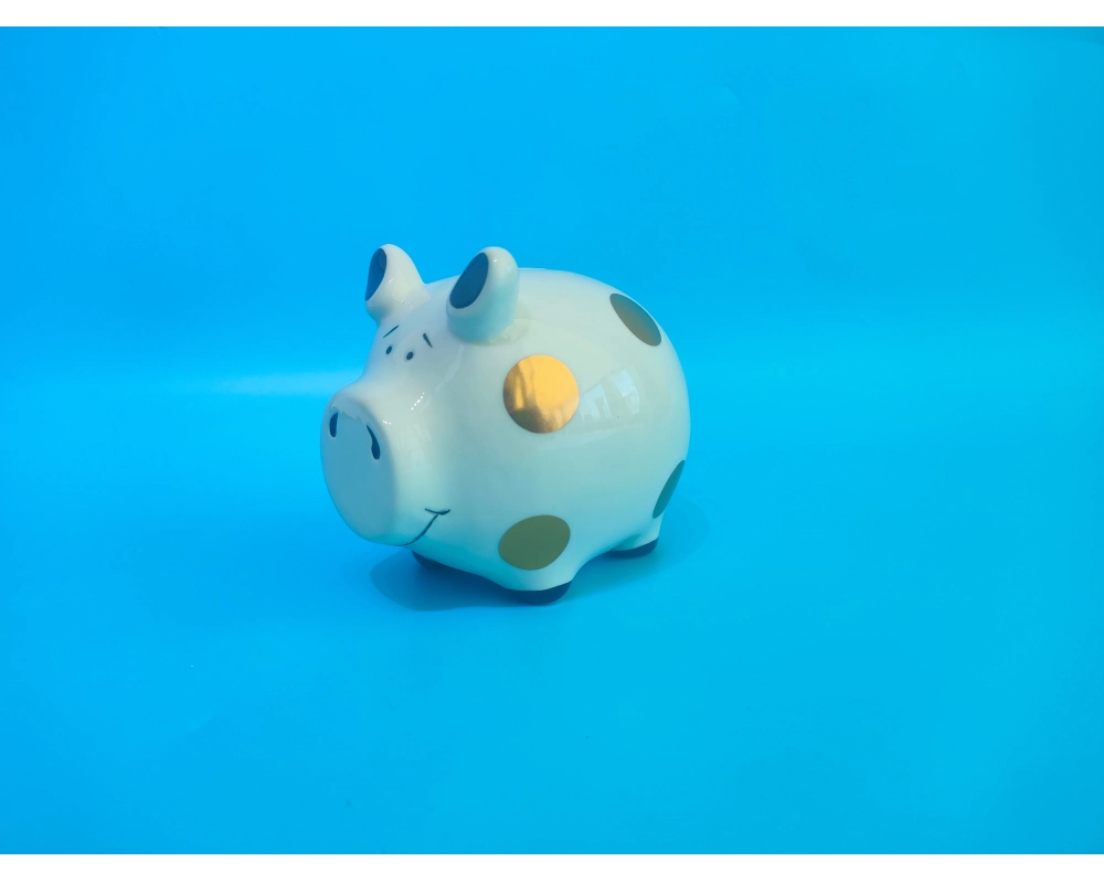 ROOST Sparkasse 11.5x8.5x10.5cm TG240705 Schwein