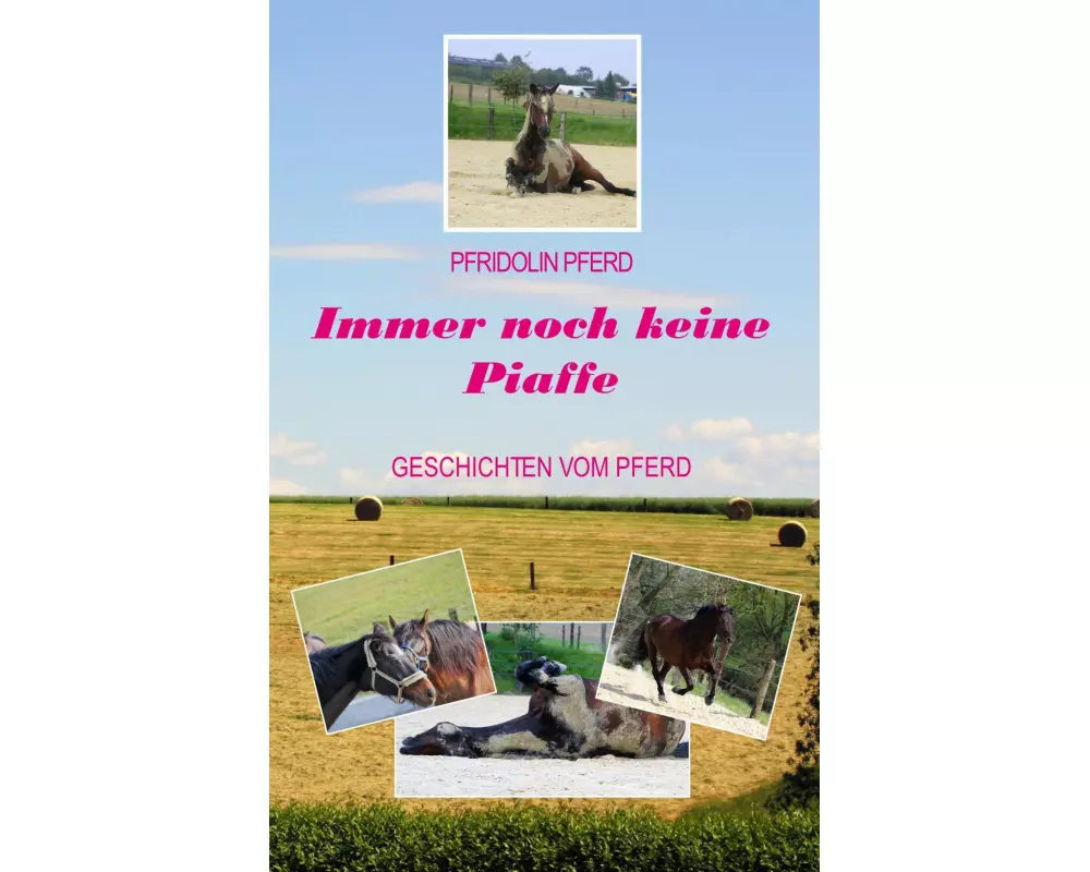 Immer noch keine Piaffe