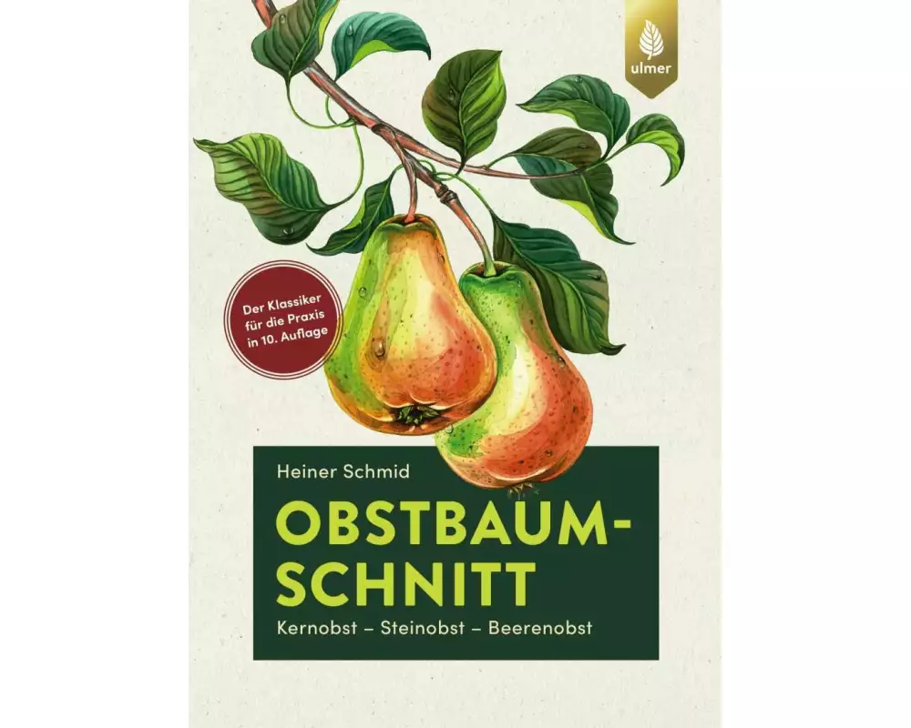 Obstbaumschnitt