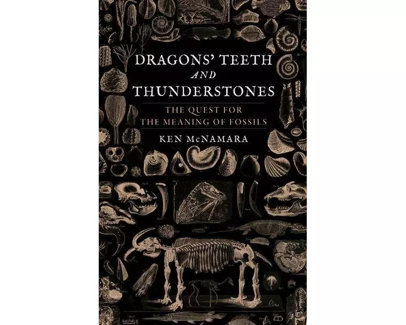 Dragons’ Teeth and Thunderstones