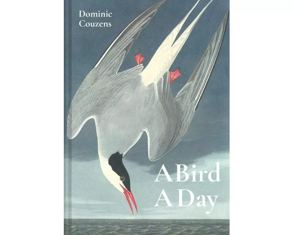 A Bird A Day