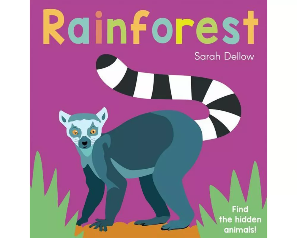 Now you See It! Rainforest