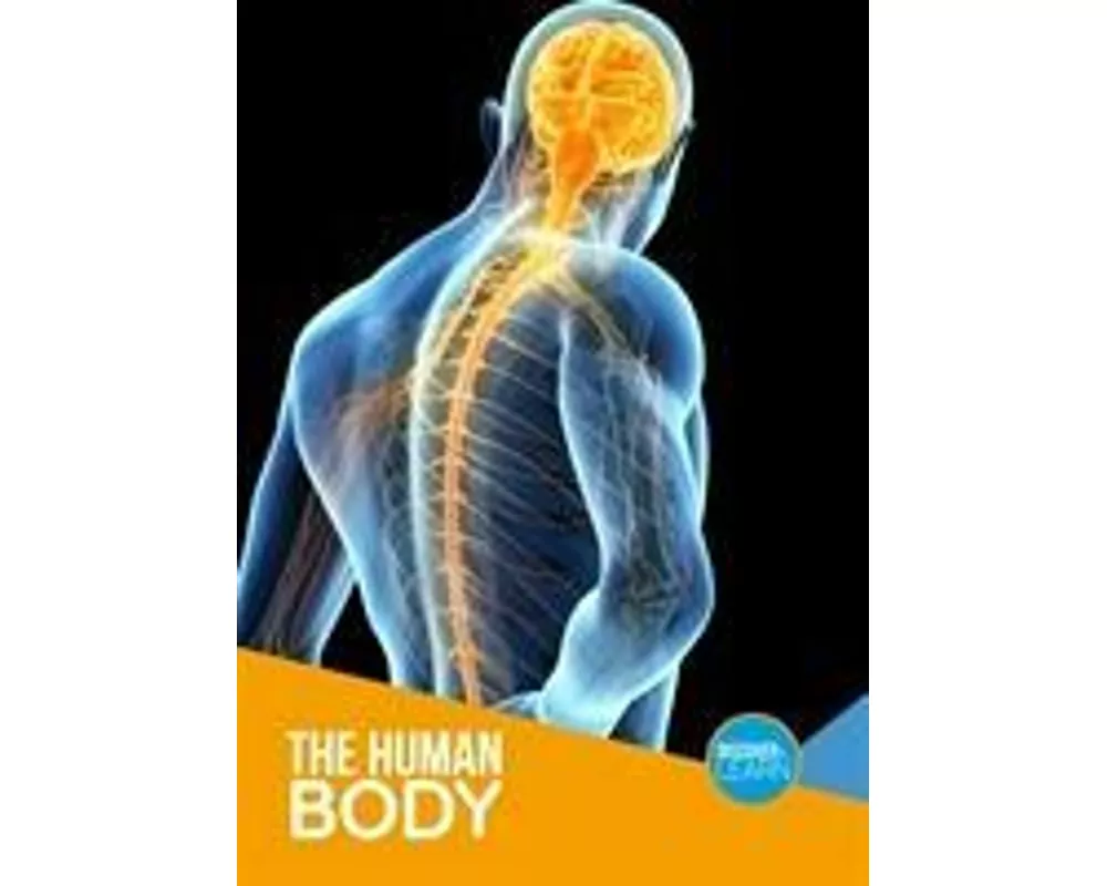 The Human Body