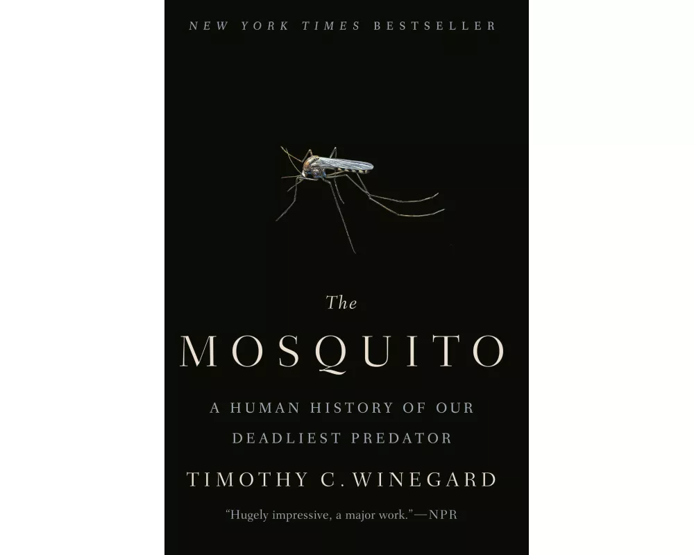 The Mosquito