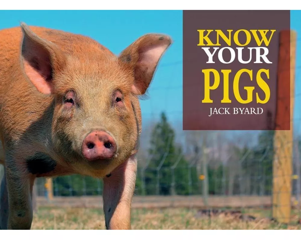 Know Your Pigs